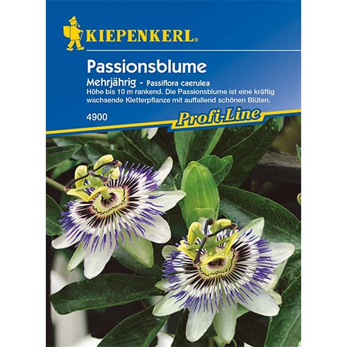 Męczennica (Passiflora) - Nasiona. Ilość w opakowaniu: 1 opak - GradinaMax