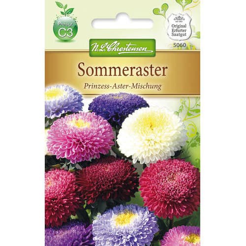 Aster chiński Princess, mix - Nasiona. Ilość w opakowaniu: 1 opak - GradinaMax