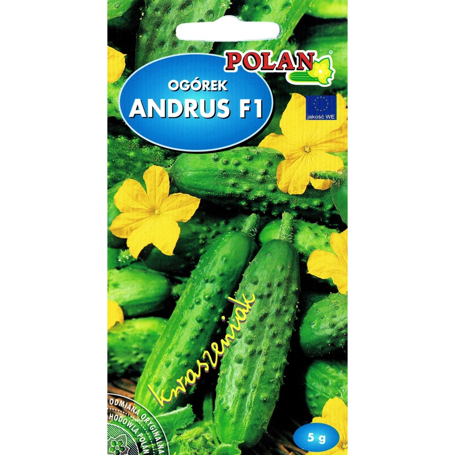 Ogórek gruntowy Andrus Polan - 5 g