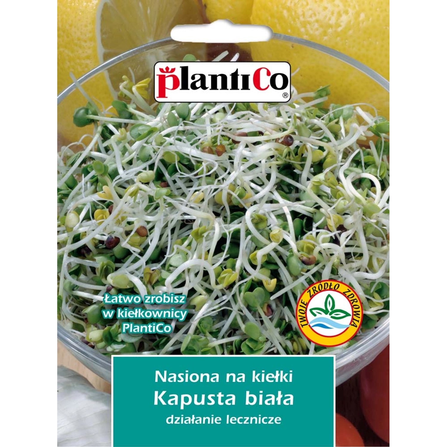 Nasiona na Kiełki kapusty