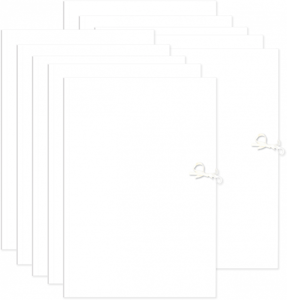 10x Teczka wiązana bez linii Interdruk, A4+, papier kredowy, 350g/m2, biały