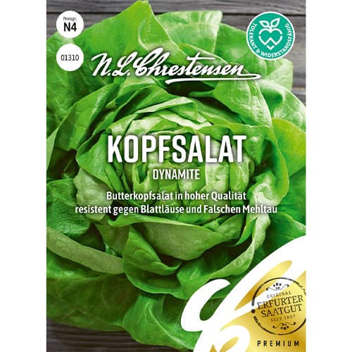 1 pac, Salată verde Dynamite - Semințe: Mod de ambalare: 1 pac