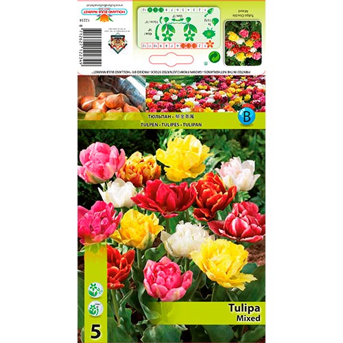 5 buc, Lalele double mix multicolor - Bulbi: Mod de ambalare: 5 buc