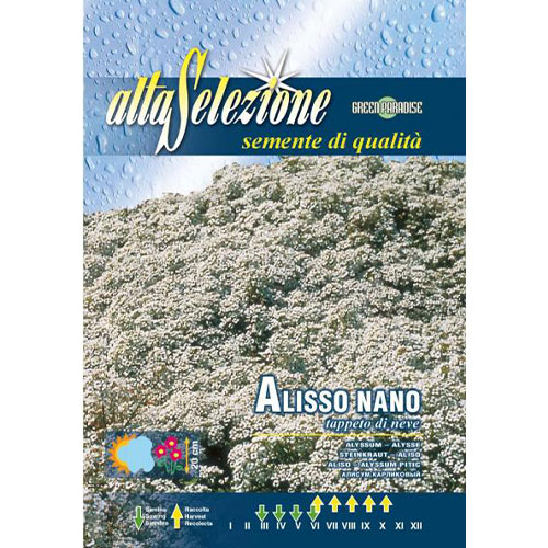 1 pac, Alyssum pitic Covor De Zapada - Semințe: Mod de ambalare: 0.8 g