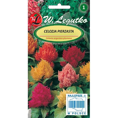 1 pac, Celosia (Creasta Cocoșului), mix multicolor - Semințe: Mod de ambalare: 1 pac