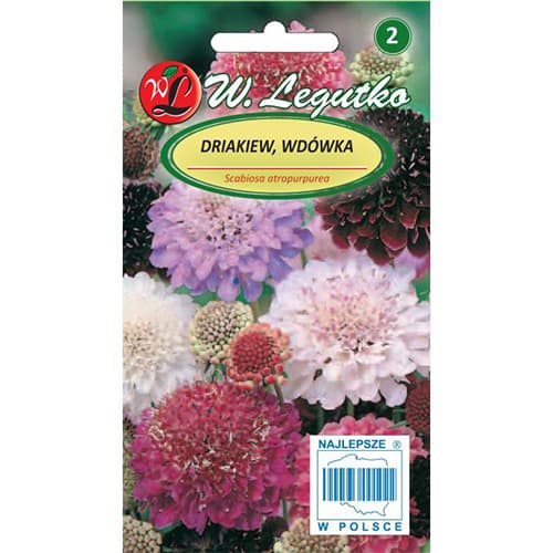 1 pac, Scabiosa caucasica, mix multicolor - Semințe: Mod de ambalare: 0.3 g