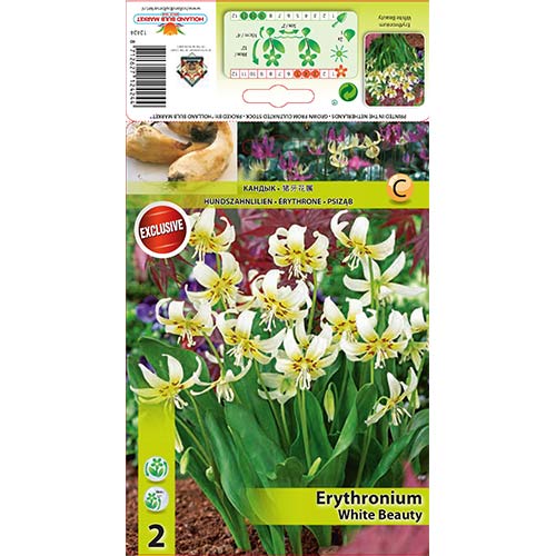 2 buc, Erythronium White Beauty - Bulbi: Mod de ambalare: 2 buc