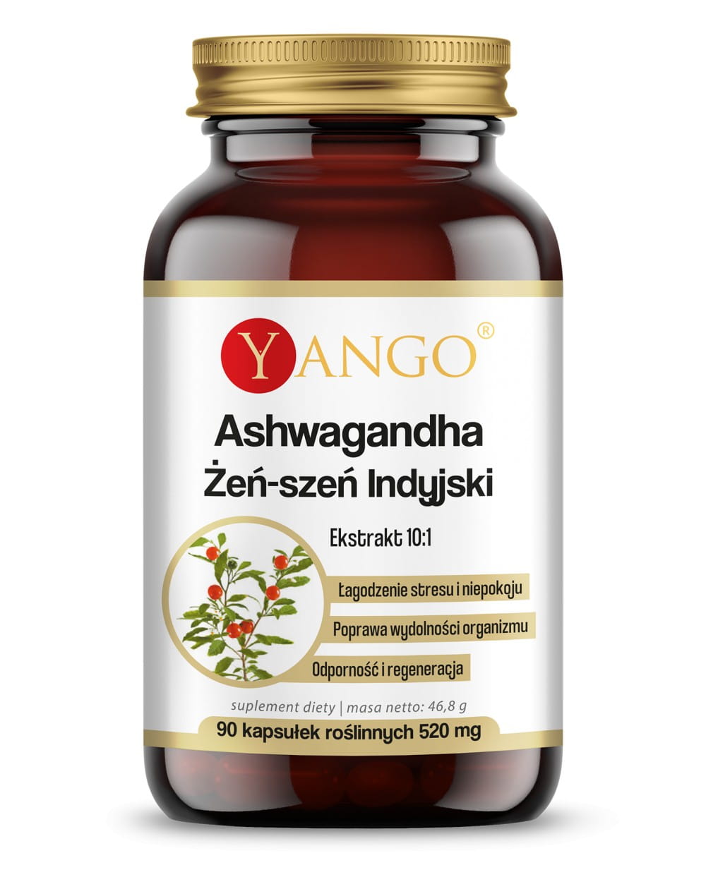 Ashwagandha - ekstrakt 10:1 - 90 kaps. Yango