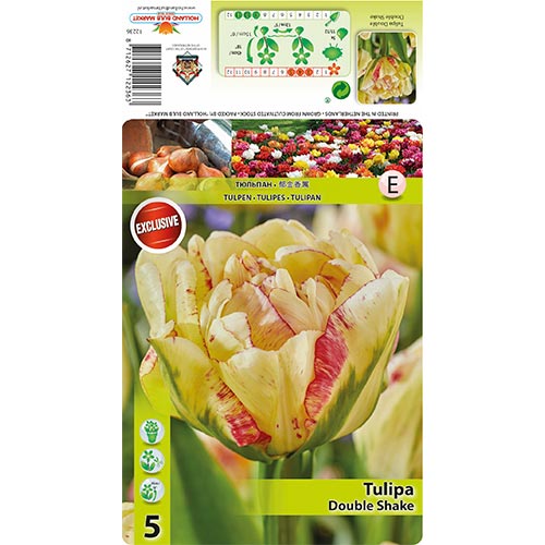 5 kus, Tulipán Double Shake - : Monžstvo balíkov: 5 kus