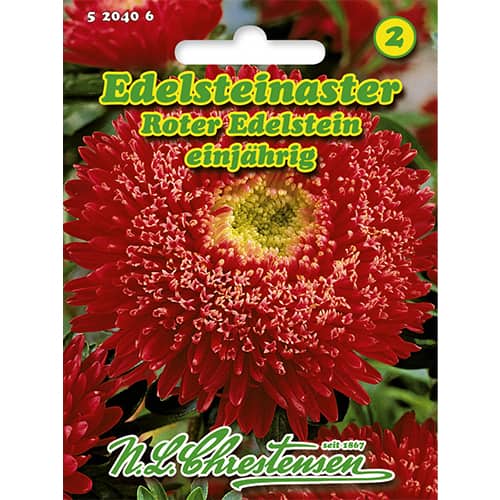 1 ob, Astra čínská Roter Edelstein - : Monžstvo balíkov: 1 ob