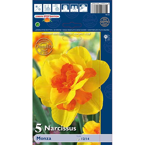 5 kus, Narcis Monza - : Monžstvo balíkov: 5 kus
