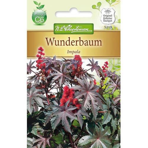 1 szt, Ricinus Impala - Magok: Mod de ambalare: 1 db