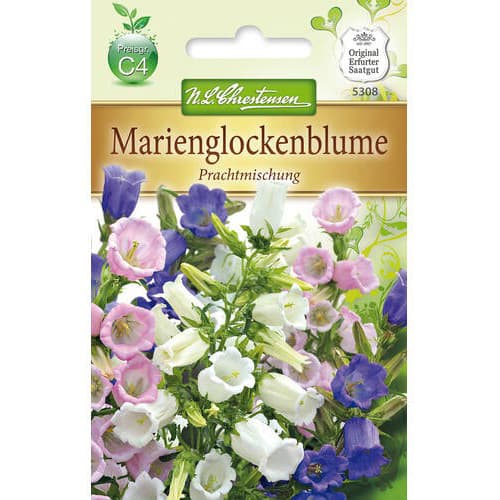 1 szt, Harangvirág, színkeverék - Magok: Mod de ambalare: 1 db