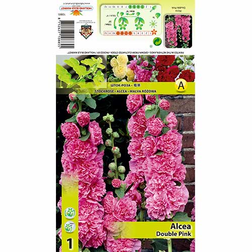 1 db, Mályvarózsa (Alcea) Double Pink - Évelő: Mod de ambalare: 1 db