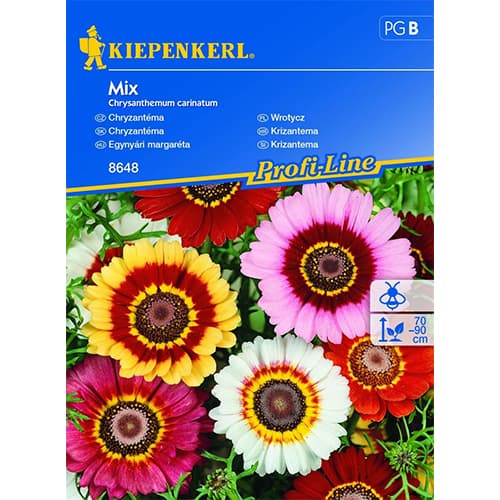 1 szt, Krizantém, színkeverék - Magok: Mod de ambalare: 1 db