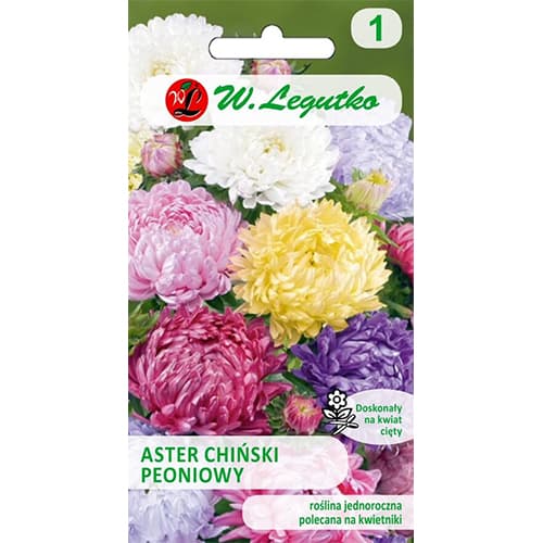 1 szt, Peonienaster Mischung - Samen: Ilość w opakowaniu: 0.5 g