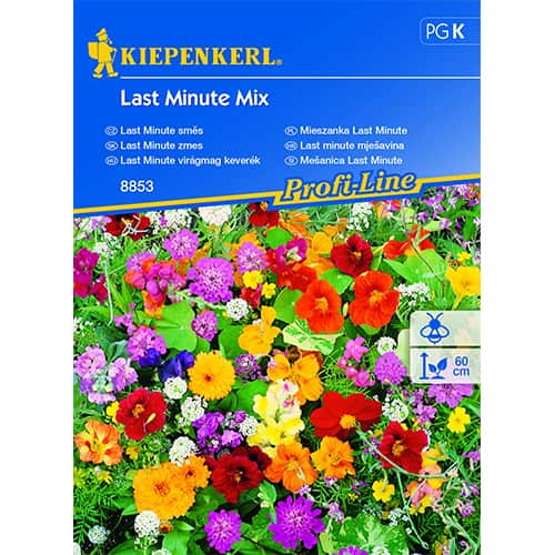 1 szt, Blumenmischung Last Minute Mix - Samen: Ilość w opakowaniu: 1 Stück