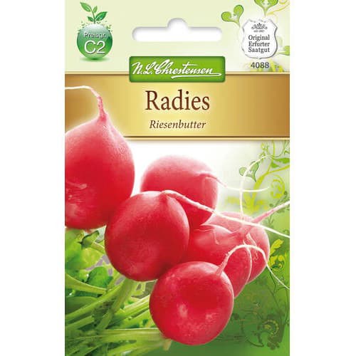 1 szt, Radies Riesenbutter - Samen: Ilość w opakowaniu: 1 Stück