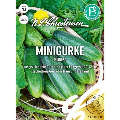 1 szt, Minigurke Monika - Samen: Ilość w opakowaniu: 1 Stück