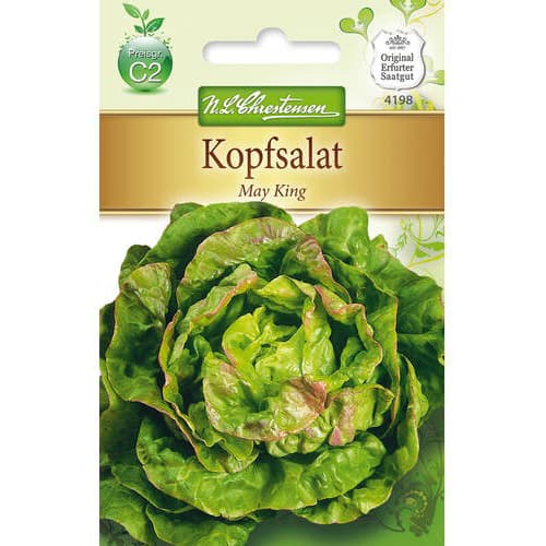 1 szt, Kopfsalat May King - Samen: Ilość w opakowaniu: 1 Stück