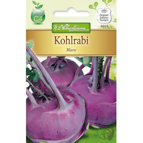 1 szt, Kohlrabi Blaro Chrestensen - Samen: Ilość w opakowaniu: 1 Stück