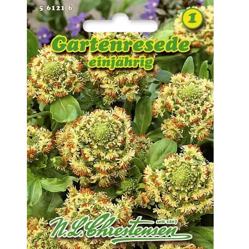 1 szt, Gartenresede - Samen: Ilość w opakowaniu: 1 Stück