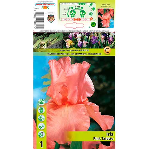 1 Stück, Bartiris (Iris) Pink Tafette - Blumenzwiebeln: Ilość w opakowaniu: 1 Stück