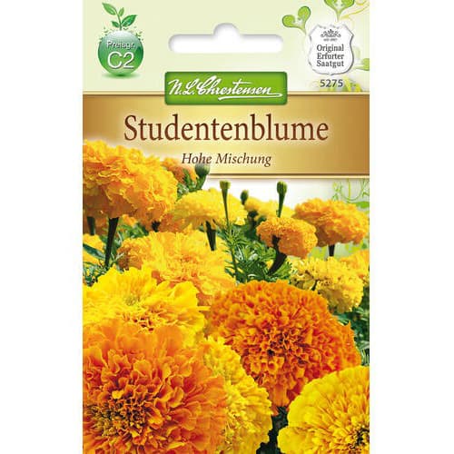 1 szt, Studentenblume Hohe Mischung - Samen: Ilość w opakowaniu: 1 Stück