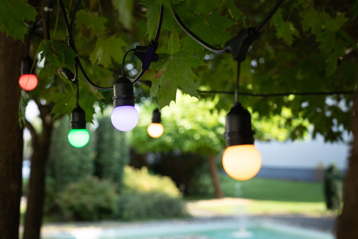GTV żarówka LED 1x1 W niebieska E27 LD-B45C01W-BL