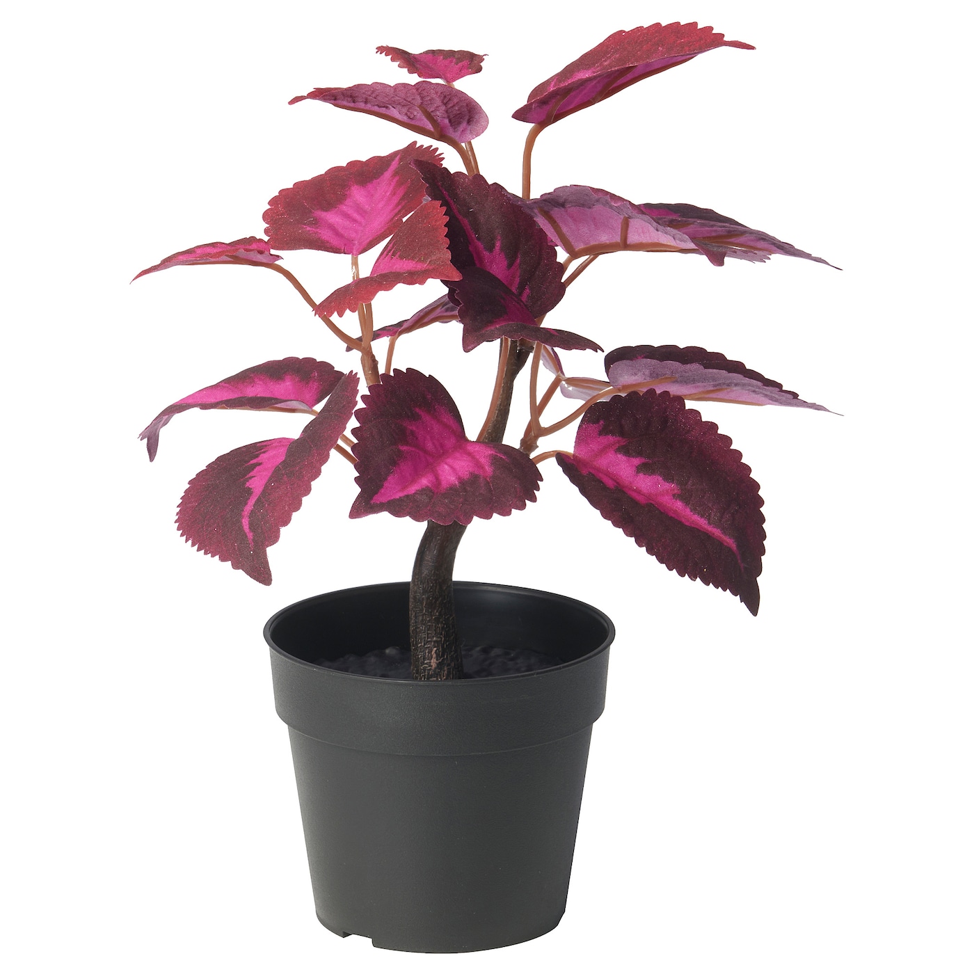 IKEA FEJKA sztuczna roślina doniczkowa, do wewnątrz/na zewnątrz Solenostemon/czerwony, 9 cm
