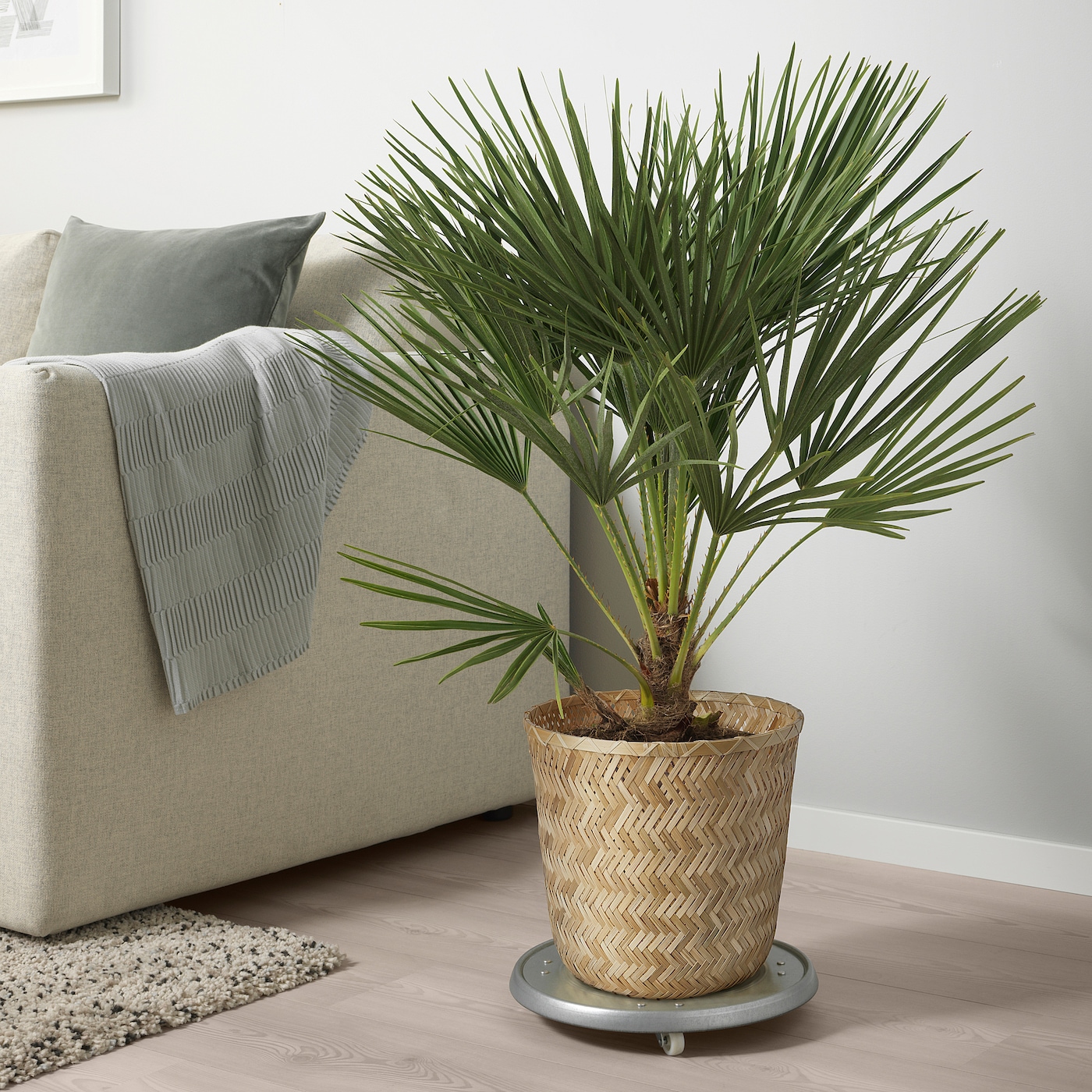 IKEA KLYNNON Osłonka doniczki, wykonano ręcznie bambus, 24 cm
