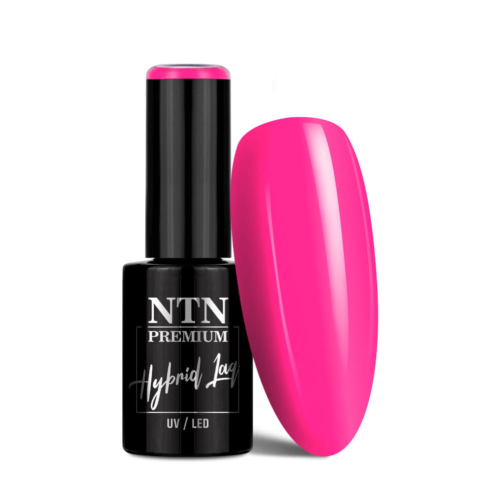 Lakier hybrydowy Ntn Premium Delight Sorbet Collection 5 g Nr 151