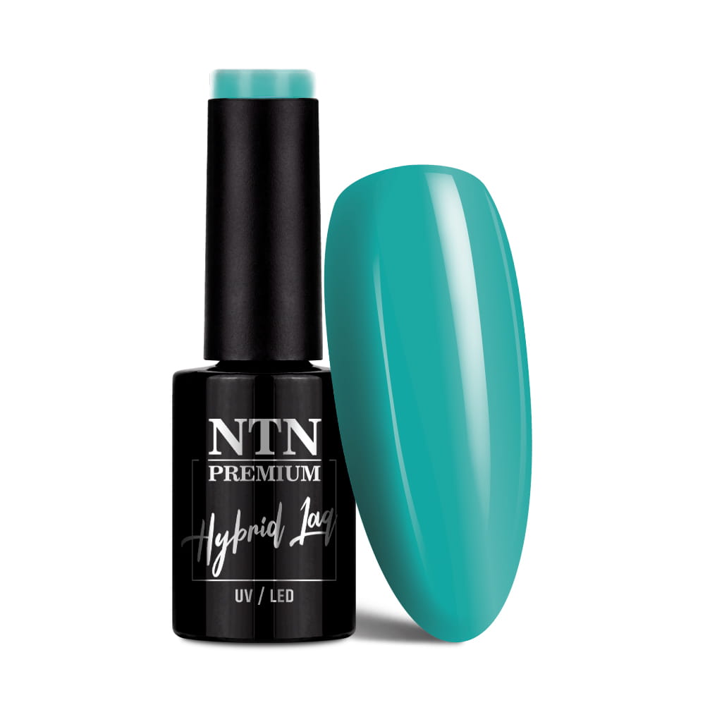 Lakier hybrydowy Ntn Premium Design Your Style Collection 5 g Nr 43
