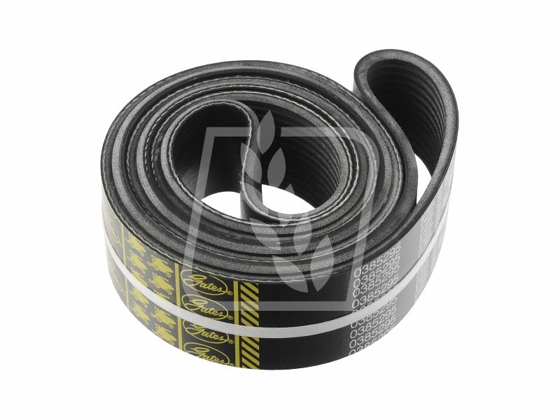 Pas Gates 0385295