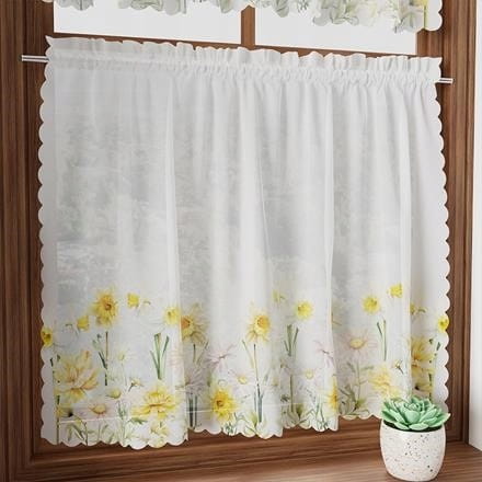 Zazdrostka woalowa 100 cm x 60 wiosenne żonkile