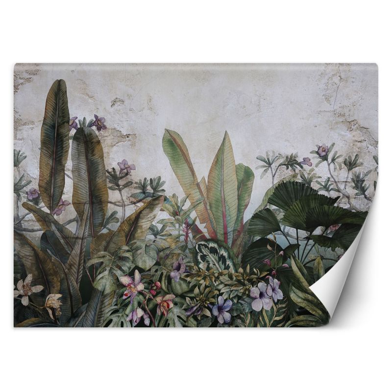 Fototapeta Feeby Liście monstera betonowa sciana 350x245 1 szt