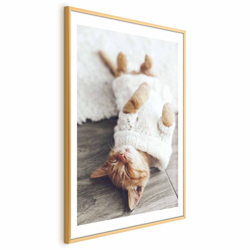 Plakat Artgeist Leniwy kot 60x90 cm z ramą złotą 1 szt