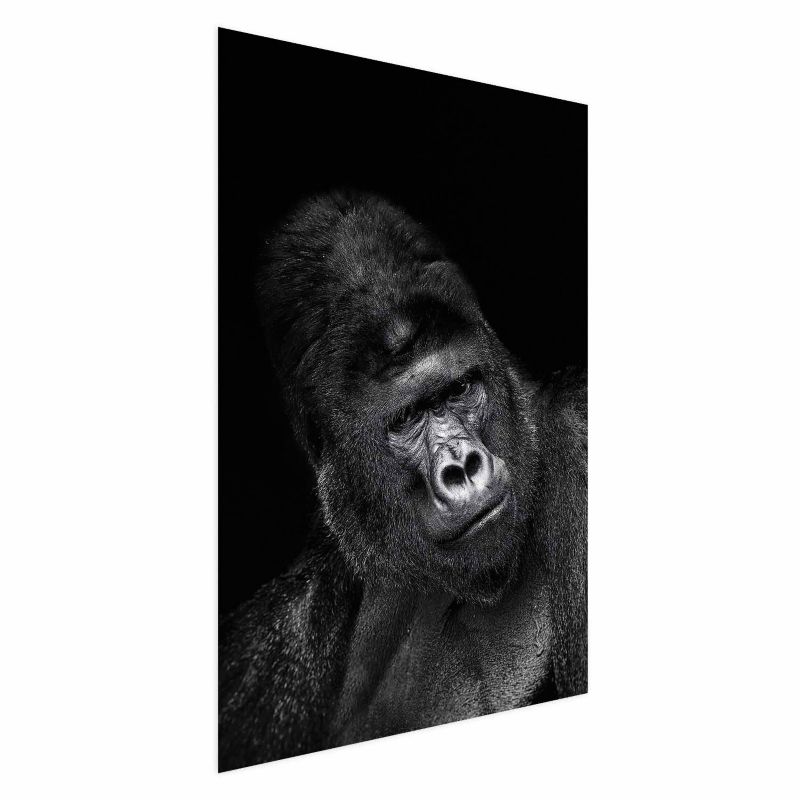 Plakat Artgeist Goryl 21x30 cm bez ramy 1 szt