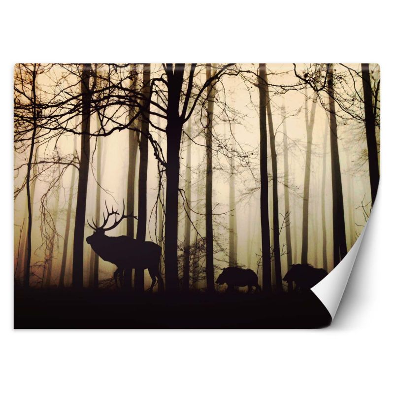 Fototapeta Feeby Zwierzęta w lesie 300x210 1 szt