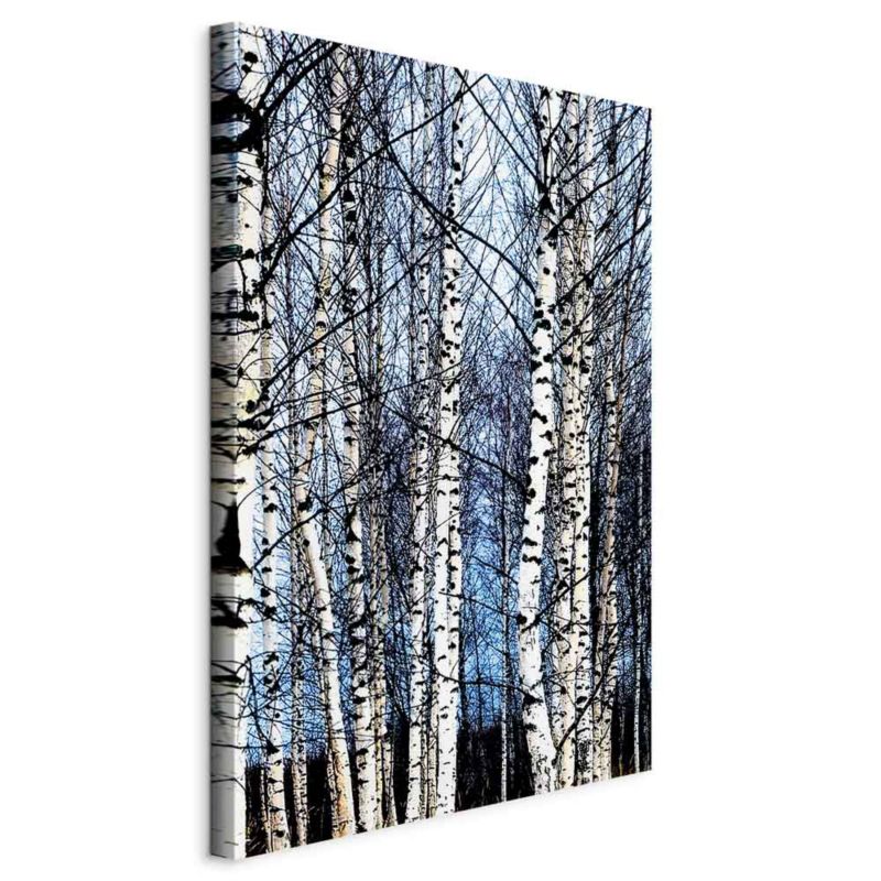 Obraz Artgeist Mroźny styczeń 20 x 30 cm flizelina 1 szt