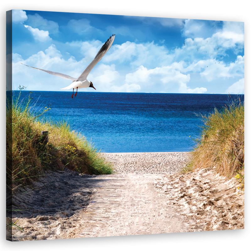 Obraz do salonu sypialni Feeby Ścieżka na plażę Niebieski 60x60cm 1szt