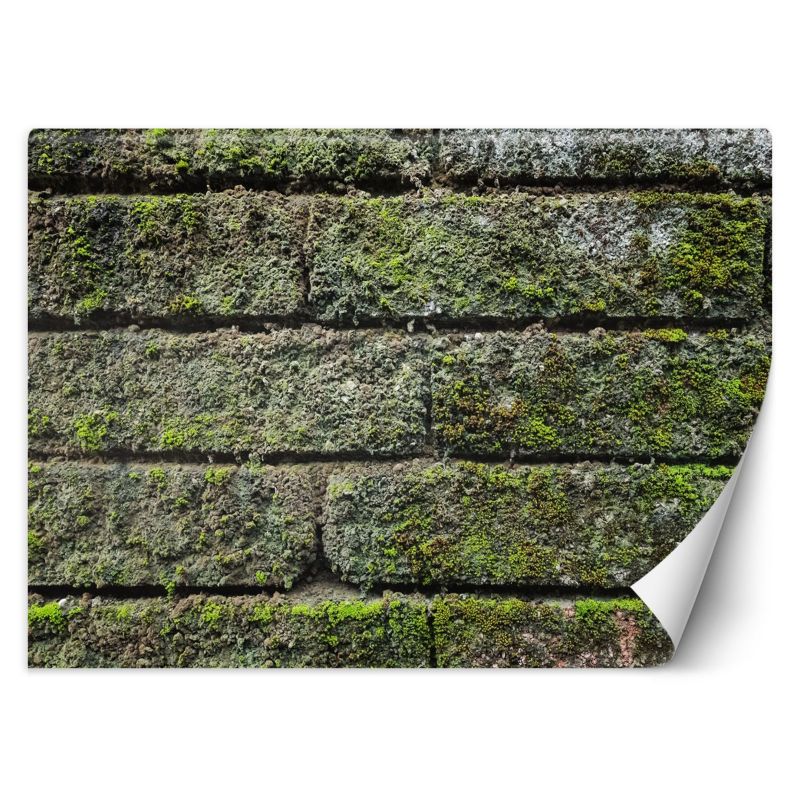 Fototapeta Feeby Mur cegła mech 200x140 1 szt