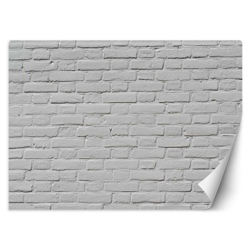 Fototapeta Feeby Biała ściana z cegły 250x175 1 szt