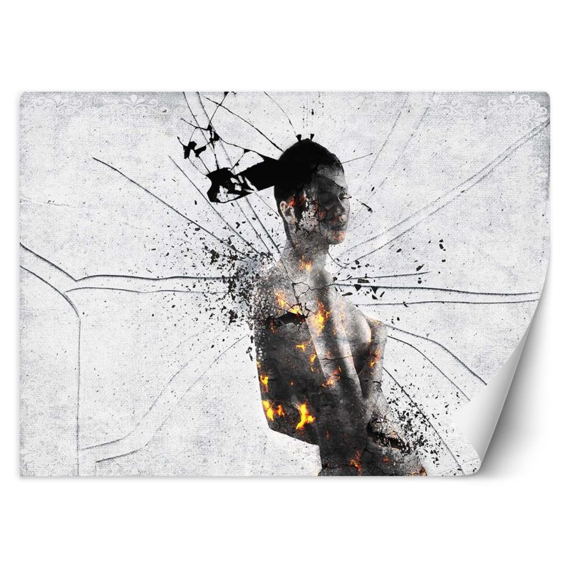 Fototapeta Feeby Rozbita kobieta abstrakcja 250x175 1 szt