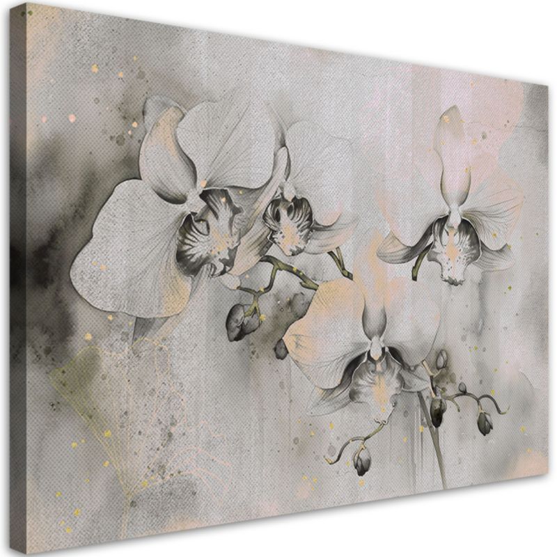 Obraz do salonu sypialni Feeby Kwitnące Orchidee Abstrakcja Beżowy 60x40 cm 1szt