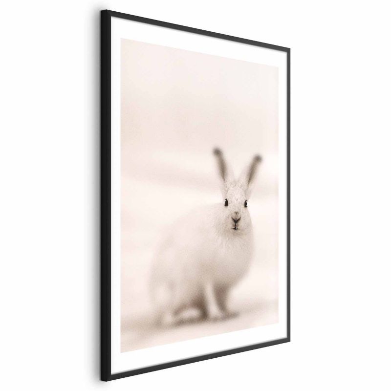 Plakat Artgeist Strachliwe spojrzenie 40x60 cm z ramą czarną 1 szt
