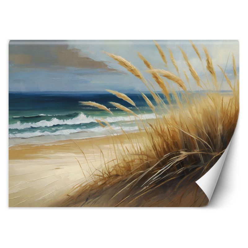 Fototapeta Feeby plaża, wydmy morskie, przyroda 150x105 1 szt
