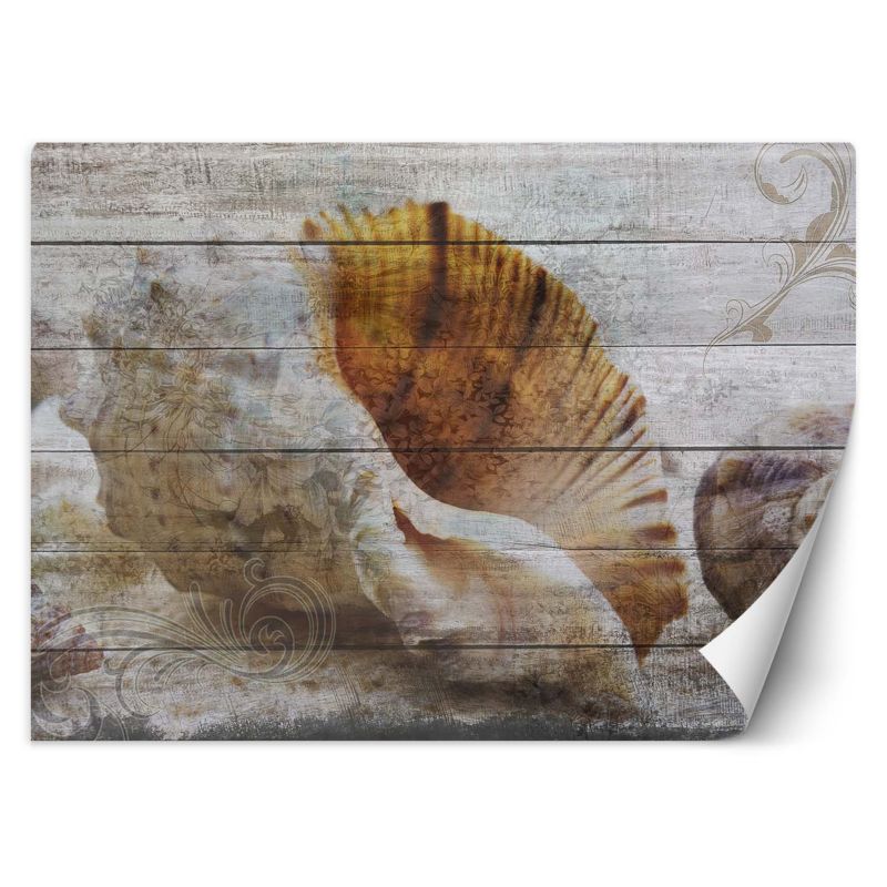 Fototapeta Feeby Muszle w stylu vintage 350x245 1 szt