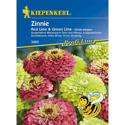 Cynia wytworna Red Lime & Green Lime - Nasiona. Ilość w opakowaniu: 1 opak - GradinaMax
