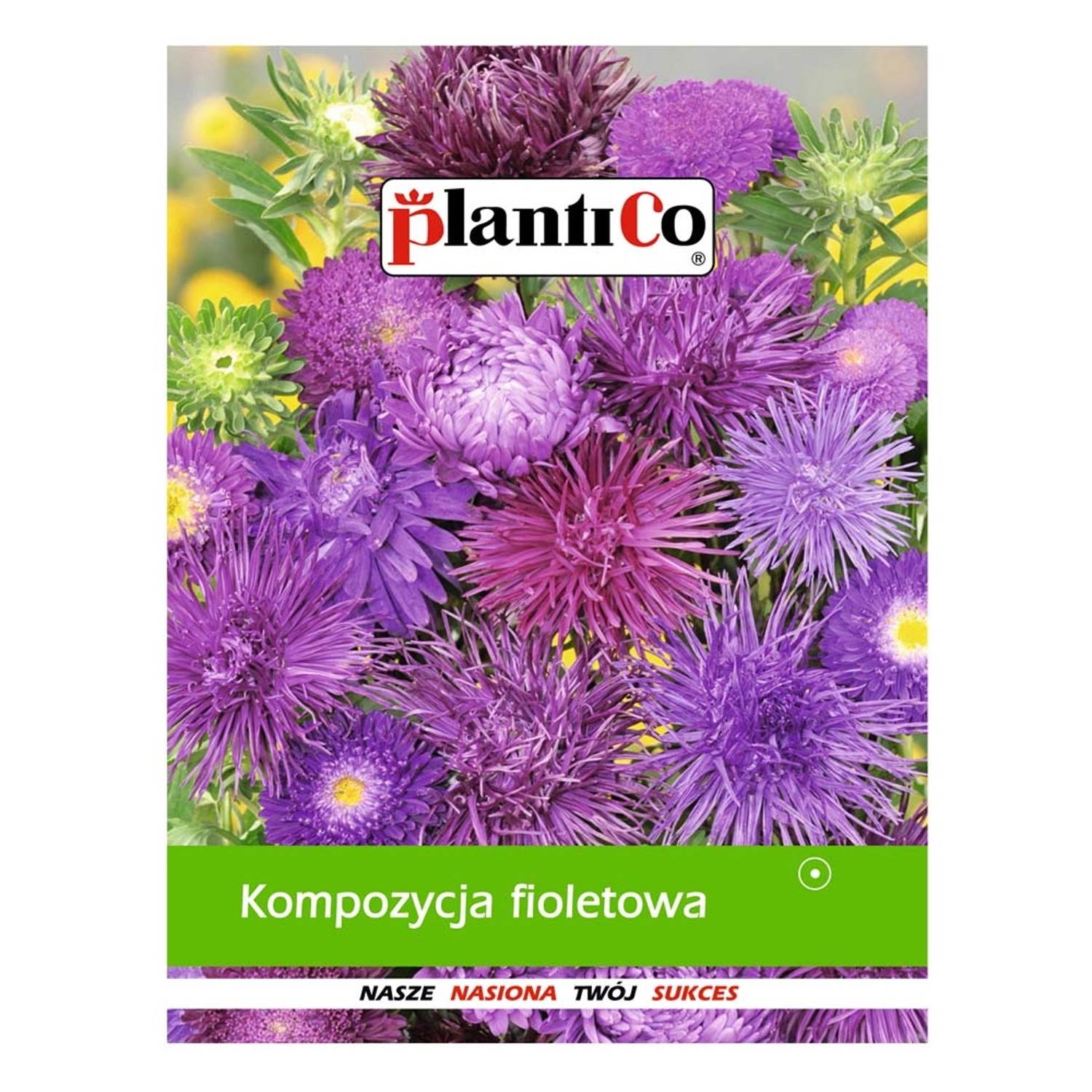 Kompozycja fioletowa
